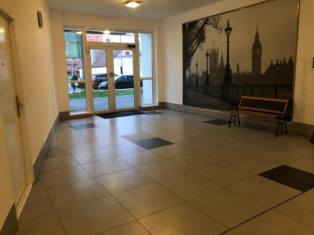 Alpha Brasov